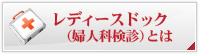 レディースドッグとは