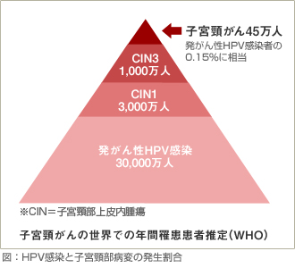 HPV感染と子宮頸部病変の発生割合