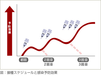 接種スケジュールと感染予防効果