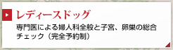 レディースドッグ